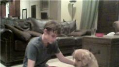 Most Times To Pet A Dog In 30 Seconds