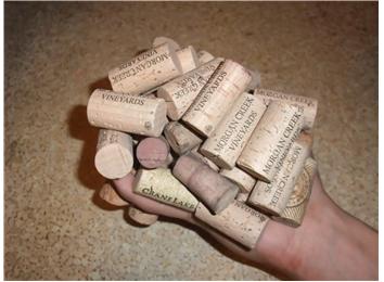 Most Wine Corks Held In One Hand