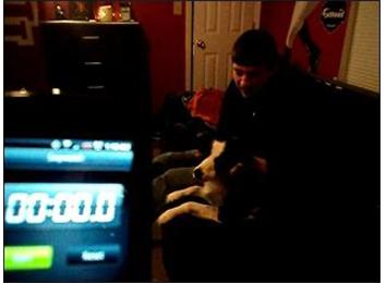 Most Times To Pet A Dog In 30 Seconds