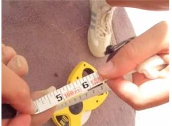 Longest Toenail
