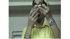 Most Pencils Fit In Mouth At Once