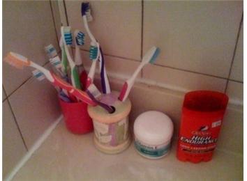 Most Toothbrushes On Bathroom Counter
