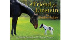 Smallest Horse To Star In A Best-Selling Children's Book