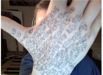 Most Cats Drawn On One\'s Own Hand