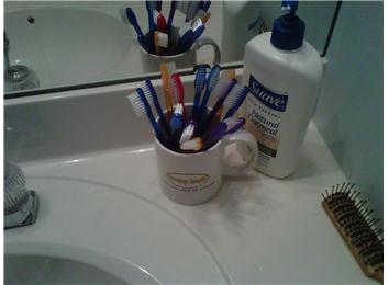 Most Toothbrushes On Bathroom Counter