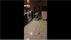 Fastest Time To Travel Six Feet In A Laundry Basket Filled With Toilet Paper