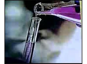 Shortest Meaningful Metaphorical Video 