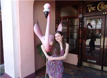 Most People To Hug A Flamingo Statue
