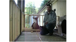 Most Times Tossing A Hat Onto A Mounted Deer's Antlers In 30 Seconds
