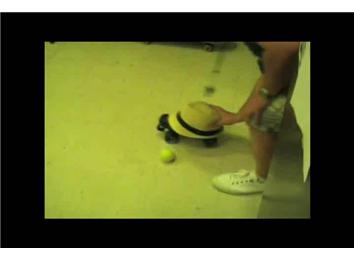 Farthest Distance To Push A Fedora On Roller Skates