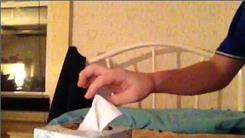 Most Tissues Pulled Out Of Box In 15 Seconds