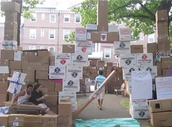 Largest Cardboard Fort