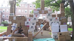 Largest Cardboard Fort