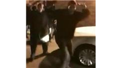 Most People Dancing To A Song Playing From A Car Stereo 