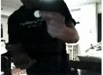 Most American Quarters Balanced On Elbow And Caught