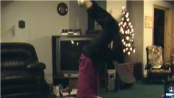 Fastest Time To Recite The English Alphabet While Doing A Headstand