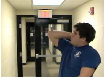 Most American Quarters Balanced On Elbow And Caught