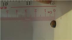 Smallest Pencil
