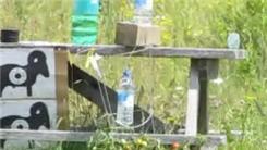 Farthest Distance To Water A Tomato Plant Using A .22-Caliber Rifle