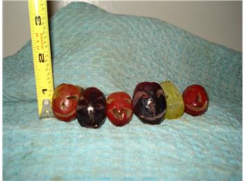 Largest Collection Of Jack-O-Lantern Grapes
