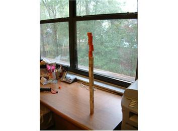 Tallest Staccabees Tower