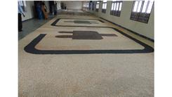 Largest Seed Mosaic
