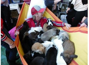 Most Bunnies Snuggled With In A Hammock