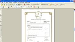 Most Training Certificates Received