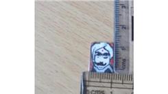  Smallest Portrait