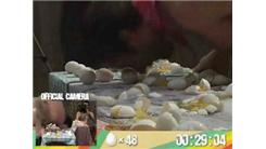 Most Eggs Crushed With Head In 30 Seconds