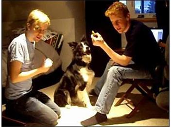 Most Alternate Paw Handshakes Elicited From A Dog In 30 Seconds