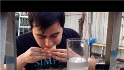 Fastest Time To Eat A Hot Dog And A Hot Dog Bun