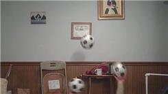 Most Consecutive Catches Juggling Three Soccer Balls While Lying Down