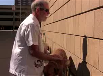 Most Bounces Of A Baseball Off Of The Side Of A Building In 30 Seconds While Petting A Dog