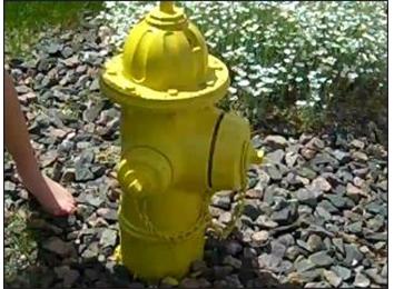 Fastest Time To Direct 20 Insults At A Fire Hydrant