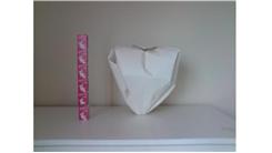 Tallest Origami Strawberry
