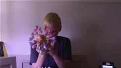 Most Dum Dums Stabbed Into An Apple In One Minute