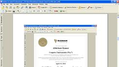 Most Brainbench Master Level Certificates Received