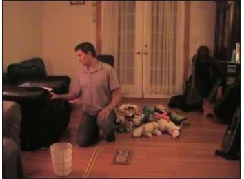 Most Stuffed Animals Held At Once