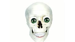 Most Jokes Told About Death While Using a Skull Avatar
