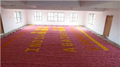 Largest Flower Mosaic