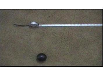 Longest Successful Croquet Shot