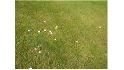Most Golf Balls Hit Off Human Tee In One Minute