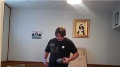 Most Bounces Of A Plastic Golf Ball On A Shoe