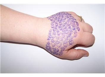Most Cats Drawn On One\'s Own Hand