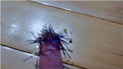 Most Pins Piercing Fingertip