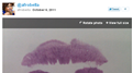Most Twitpics Of Lip Prints Shared During A One Hour Twitter Party