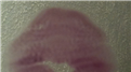 Most Twitpics Of Lip Prints Shared During A One Hour Twitter Party
