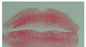 Most Twitpics Of Lip Prints Shared During A One Hour Twitter Party