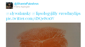 Most Twitpics Of Lip Prints Shared During A One Hour Twitter Party